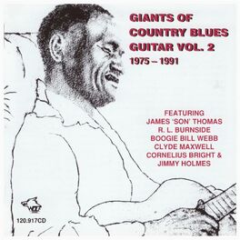 Album cover of Giants Of Country Blues Guitar Vol. 2
