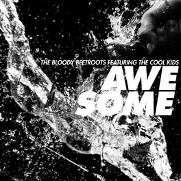 Album cover of Awesome (feat. The Cool Kids)