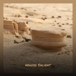 Album cover of Whoso Salient