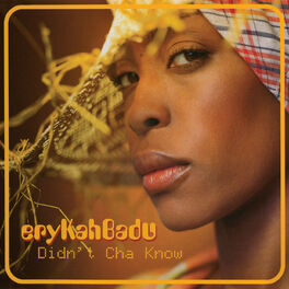 Album cover of Didn't Cha Know
