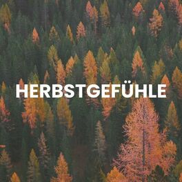 Album cover of Herbstgefühle