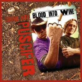 Album cover of Sound Into Blood Into Wine