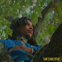 Album cover of Medicine (feat. Merlin Szy)