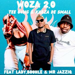 Album cover of Woza 2.0