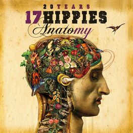 Album cover of 20 Years 17 Hippies - Anatomy