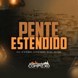 Album cover of PENTE ESTENDIDO (feat. DJ TH DO PRIMEIRO, DJ 2K DO TAQUARIL, MC Saci, Mc Pretchako & Complexo dos Hits)