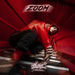 Album cover of Zoom