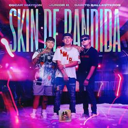 Album cover of Skin de Bandida