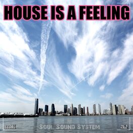 Album cover of House Is a Feeling