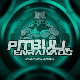 Album cover of Pitbull Enraivado