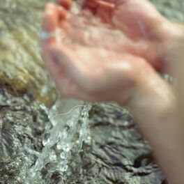 Album cover of amber