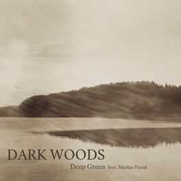 Album cover of Dark Woods