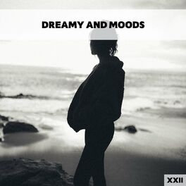 Album cover of Dreamy And Moods XXII