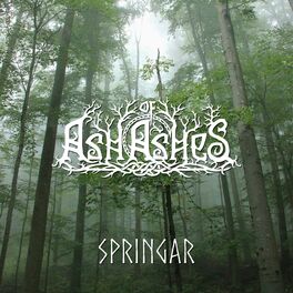 Album cover of Springar [Instrumental]