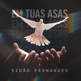 Album cover of Em Tuas Asas
