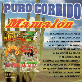 Album cover of Puro Corrido Mamalon