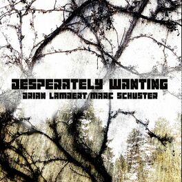 Album cover of Desperately Wanting (feat. Marc Schuster)