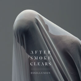 Album cover of Disillusion