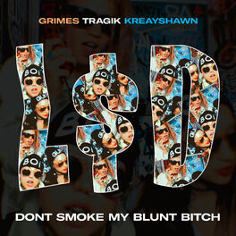 Album cover of L$D (Don't Smoke My Blunt Bitch) [feat. Grimes & Kreayshawn]