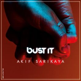 Album cover of Bust It