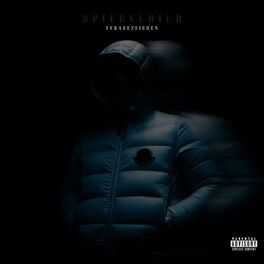 Album cover of Spiegelbild