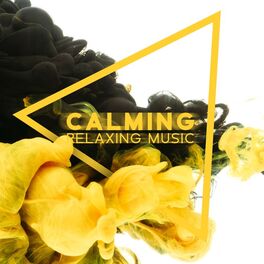Album cover of Calming Relaxing Music. Total Chill Out All Day. Songs for the Winter Season
