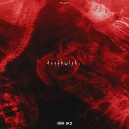 Album cover of Deathwish