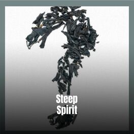 Album cover of Steep Spirit