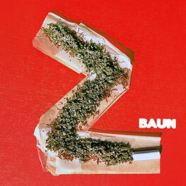 Album cover of 2 Baun
