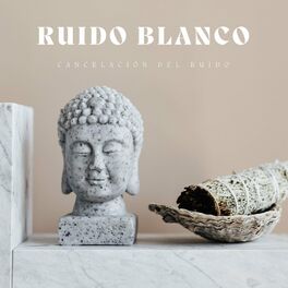 Album cover of Ruido Blanco: Cancelación Del Ruido