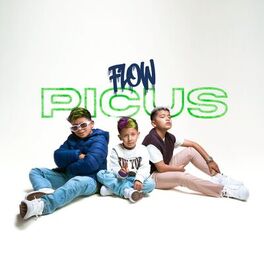 Album cover of Flow Picus