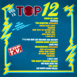 Album cover of Top 12, Vol. 15