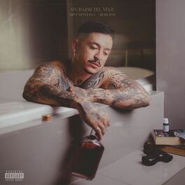 Album cover of Sin Bajar del Viaje