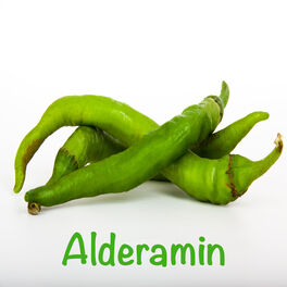 Album cover of Alderamin