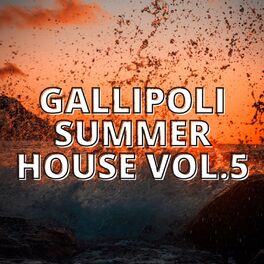 Album cover of Gallipoli Summer House Vol.5