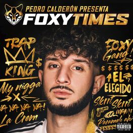 Album cover of Foxy Times