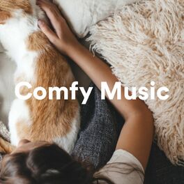 Album cover of Comfy Music