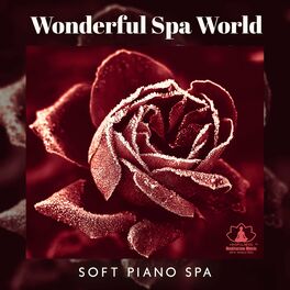 Album cover of Wonderful Spa World: Soft Piano Spa, Emotional Healing Instrumentals, Winter Wellness, Soulful Spa Relaxation and Rejuvenation, Pi