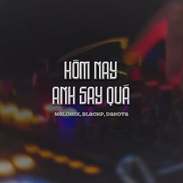 Album cover of Hôm Nay Anh Say Quá