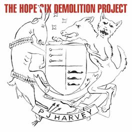 Album cover of The Hope Six Demolition Project