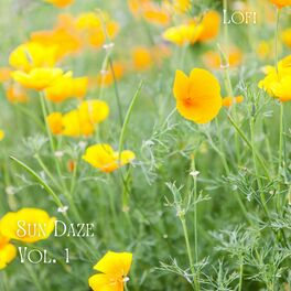 Album cover of Lofi: Sun Daze Vol. 1