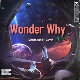 Album cover of Wonder Why (feat. Zamir)