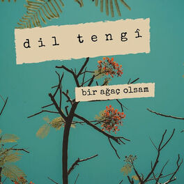 Album cover of Bir Ağaç Olsam