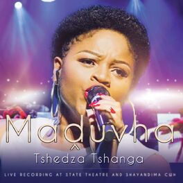 Album cover of Tshedza Tshanga