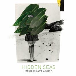 Album cover of Hidden Seas