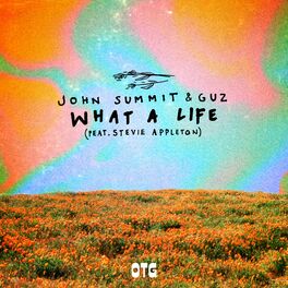 Album cover of What A Life (feat. Stevie Appleton)