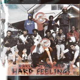 Album cover of Hard Feelings