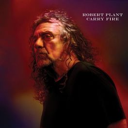 Album cover of Carry Fire