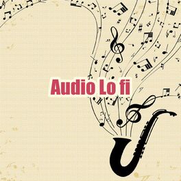 Album cover of Audio Lo Fi
