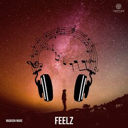 Album cover of Feelz